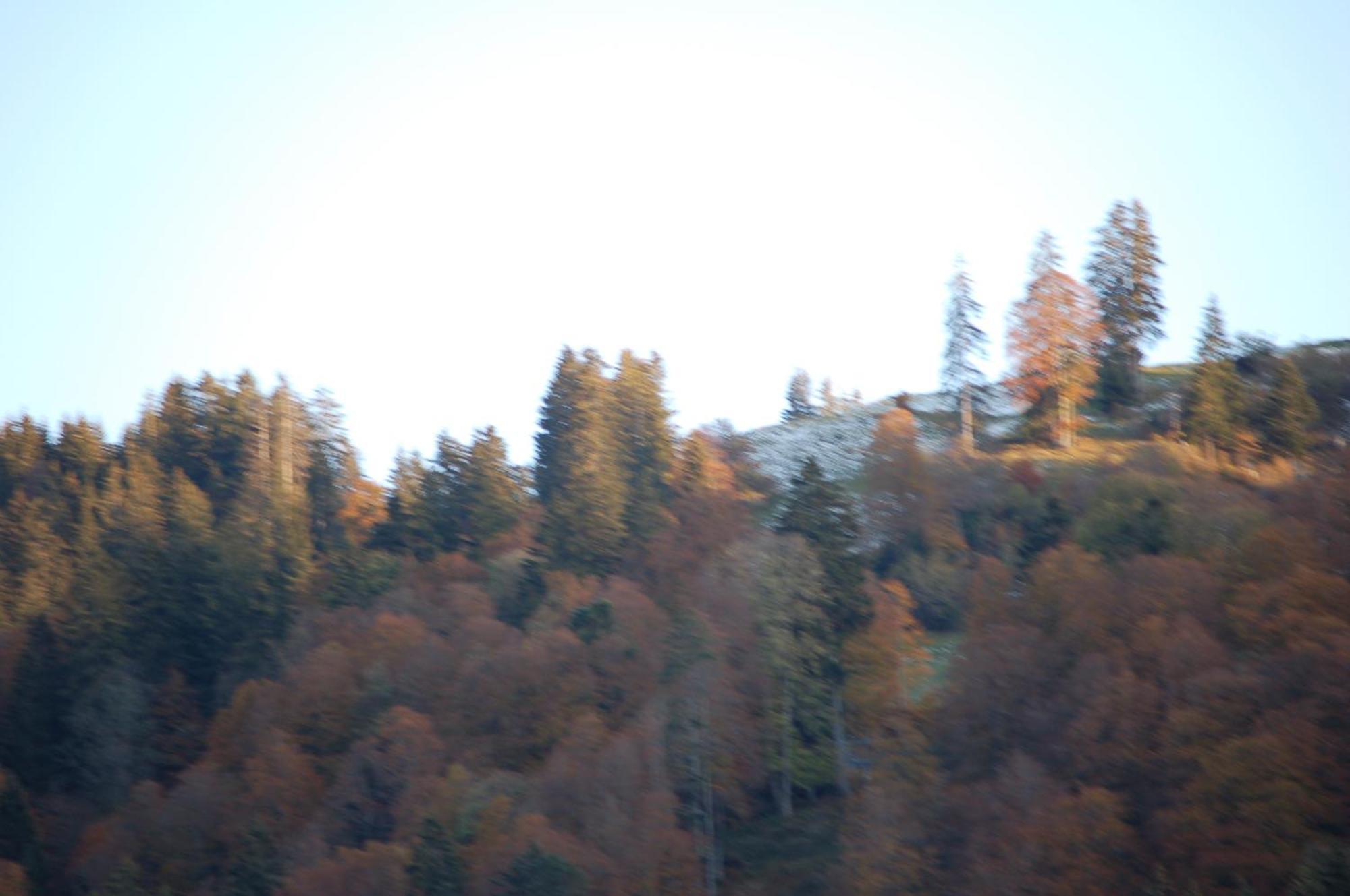 Gasthaus Schaefli Alt St. Johann 외부 사진